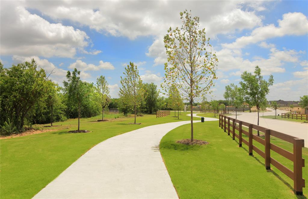 Treeline - Residential