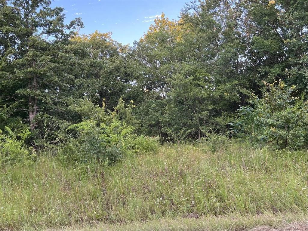 Single lot in lake front neighborhood, just minutes from town! This treed lot is perfect to build your own home, or have one moved in. Newer mobiles homes are also welcome. Currently there are not homes on the opposite side of the street, just a row of big trees to see. 
This neighborhood community offers a pool, playground, boat launch, and trash station that's all included in your $200 annual dues. 
Drive by for yourself and take a look, not many lots available in this price range!
