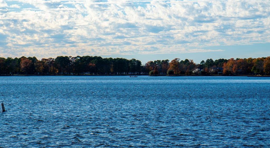 Discover your own piece of paradise near Lake Cypress Springs! This stunning 0.57-acre lot is surrounded by lush trees and greenery, providing the perfect canvas for your tiny home, RV camping, or dream lake home – a potential Airbnb rental investment. With no zoning restrictions from the county and no HOA, you have the freedom to create your ideal retreat. Located just 5 minutes from Lake Cypress Springs for boating and fishing enthusiasts, and 15 minutes from Mount Vernon, where you can find stores for all your needs. Embrace the tranquility of a welcoming community in this serene setting, all within a 1-hour 40-minute drive from Dallas. Don't miss the chance to make this your haven – act now!