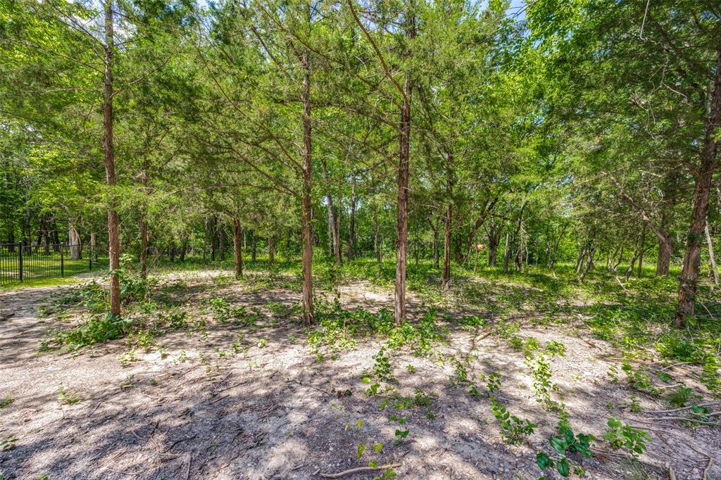BLUE HILLS OF VAN ALSTYNE PHASE 3 - Land