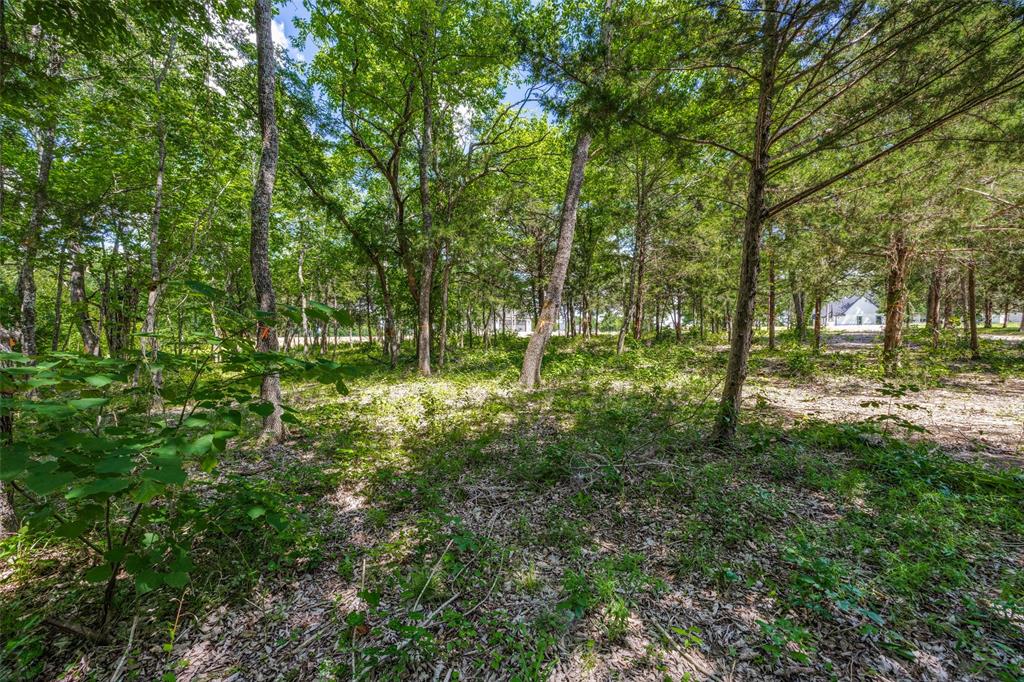 BLUE HILLS OF VAN ALSTYNE PHASE 3 - Land