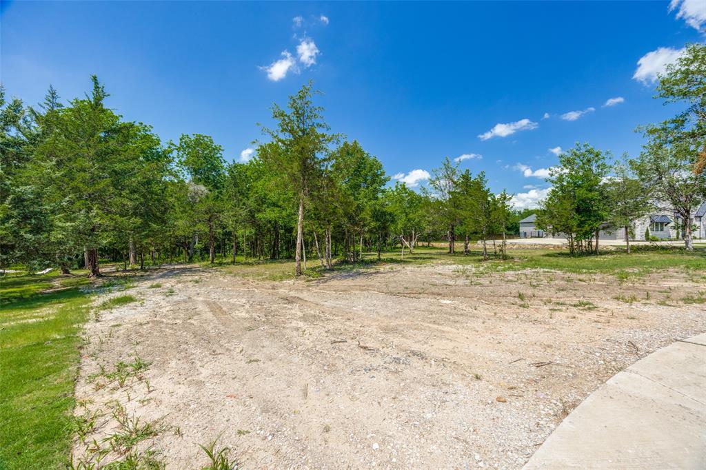 BLUE HILLS OF VAN ALSTYNE PHASE 3 - Land