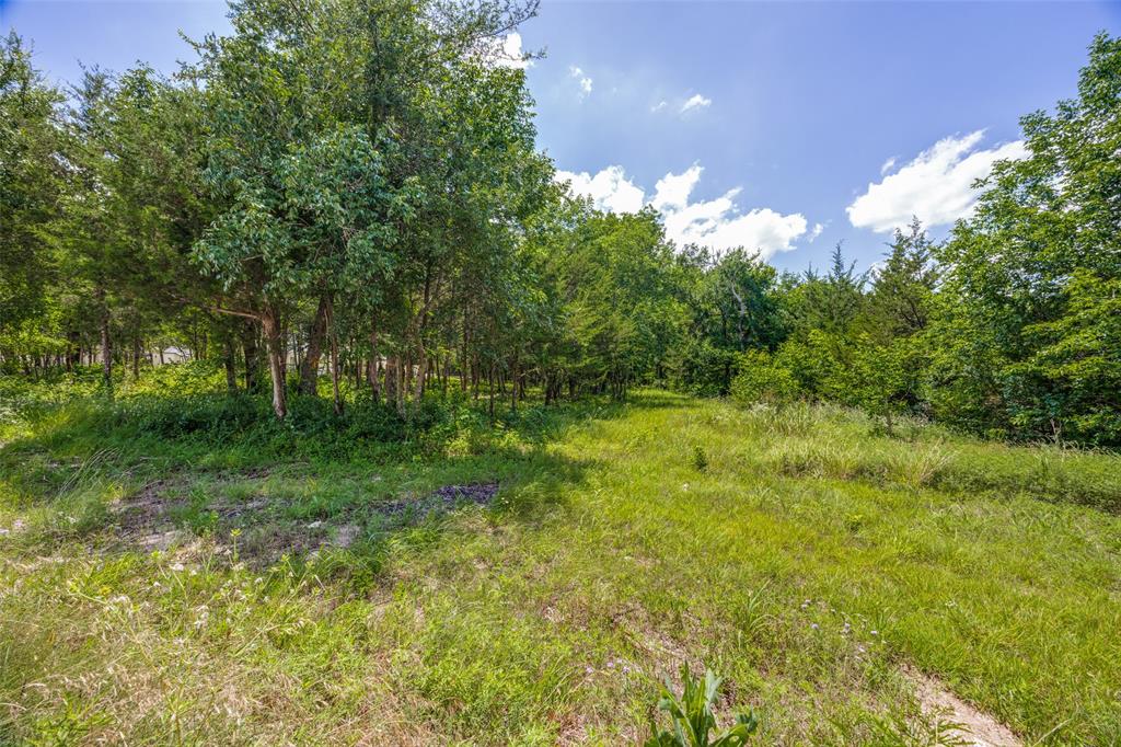BLUE HILLS OF VAN ALSTYNE PHASE 3 - Land