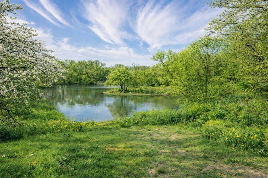 Two parcels 3117 & 3115 West Division.
Discover 5.4 beautiful, heavily treed acres featuring a large pond—an ideal setting to build your dream farmhouse and create the country lifestyle you’ve been envisioning. With plenty of room for horses, livestock, or wide-open space to simply enjoy, this property offers both privacy and possibility all less than 5 miles from AT&T Stadium. 

The land includes two separate lots (3115 & 3117 W Division), each zoned for one residential home—opening the door to multiple opportunities. Build your private estate and add a guest house, create a multi-generational setup, or develop a second home as an income-producing rental. There is also potential for rezoning, allowing for a business in the front with a residence tucked behind.

Space, flexibility, and opportunity—all in one exceptional property.