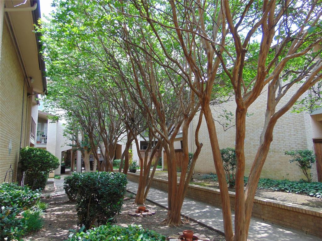 Las Colonitas Condo - Residential