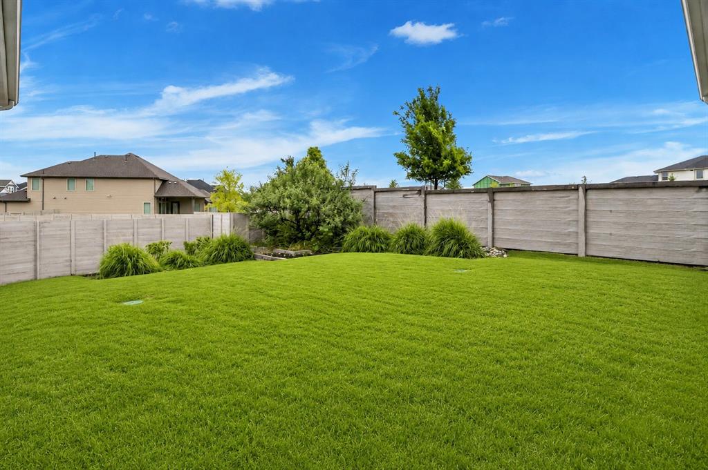 Painted Tree East Showcase Lts - Residential