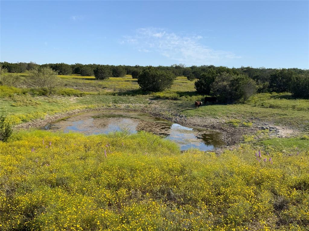 Carlton - Land