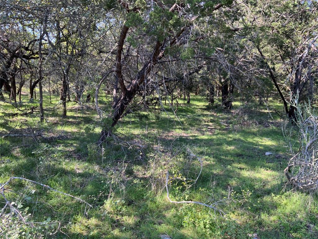 Carlton - Land