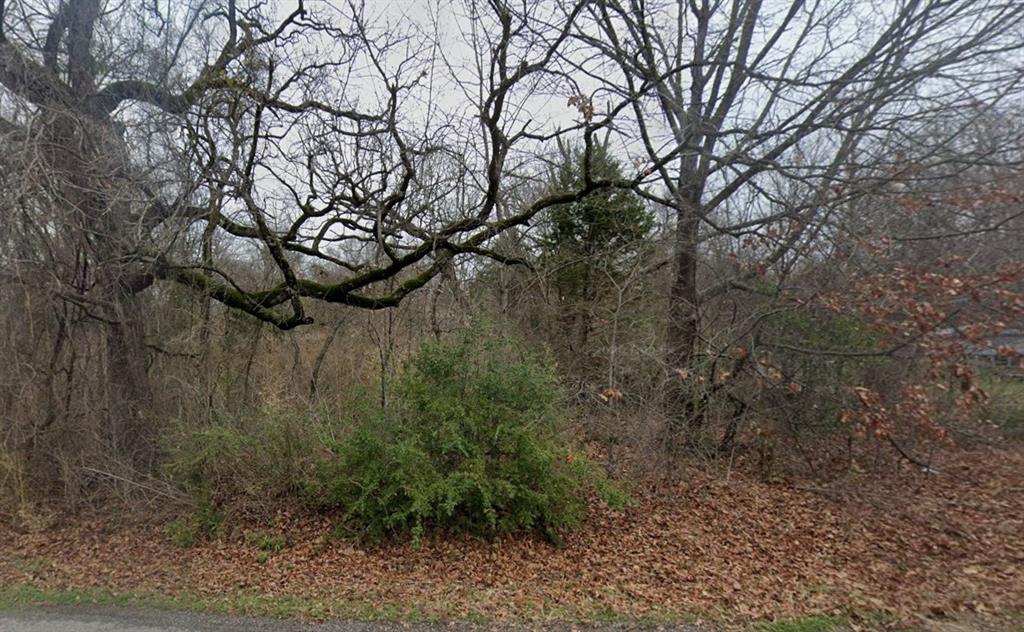 Beautifully treed lot ready for new home construction. Utilities are ready.  HOA includes parks and boat ramp.