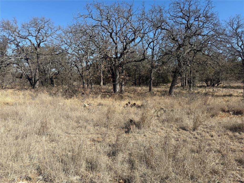 This exceptional lot sits high above Lake Brownwood and within the highly desirable Hideout Resort—one of Central Texas’s fastest-growing destination communities. If you are looking to secure land for future development, this property delivers both lifestyle and long-term potential in a location that continues to gain momentum.

Ownership includes a Hideout Resort membership with full access to an impressive lineup of resort-style amenities. Enjoy four rounds of golf per month that roll over if unused, giving you flexibility whether you’re a weekend visitor or future full-time resident. Take advantage of the resort’s championship golf course, sparkling pool and cabana area, on-site restaurant, modern fitness center, tennis and pickleball courts, and a full calendar of exclusive social events. Stay-and-play privileges make it easy to enjoy the community now while planning for what’s next.

The Hideout is more than a place to live—it’s a lifestyle investment. With ongoing growth, increasing demand, and a prime lakeside setting, this lot is an ideal opportunity for buyers looking to get ahead of development while enjoying immediate benefits. Build your vision, hold for the future, or simply enjoy the perks of resort living today. This is your chance to secure a piece of what’s quickly becoming one of Central Texas’s most exciting communities.