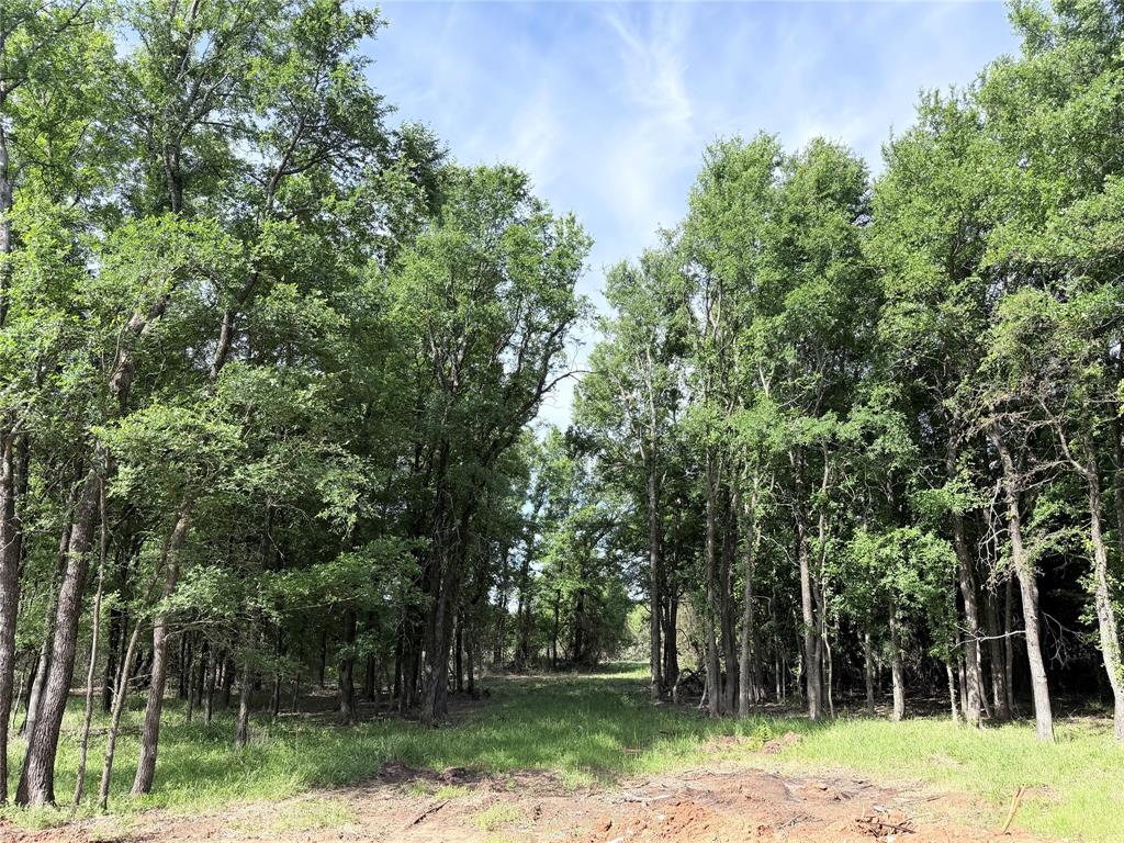 Lakewood Acres - Land