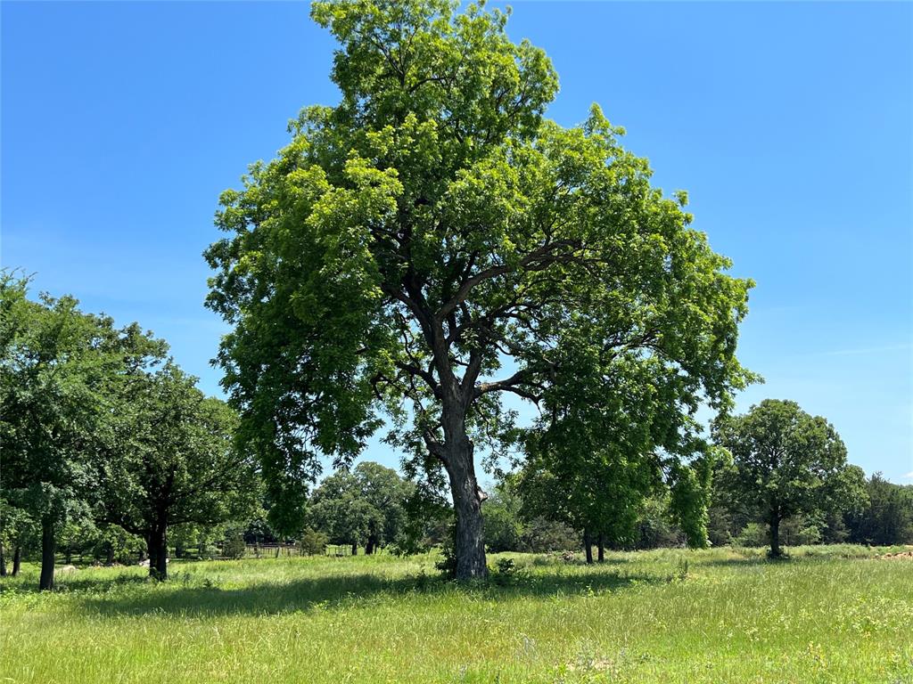Upscale, private residential subdivision of custom built homes and estates in the highly sought-after Lake Kiowa area, just off FM 3496. Lot 9 is the second property, just past the fence upon entering the cul-de-sac.  It offers both privacy and a premier position within the community. Each homesite spans 4–5 acres and features mature trees, coastal and native grasses, with rich sandy loam soil. This lot has already been cleared, has a pond and is ready for your custom vision—whether you’re planning a luxurious country estate or a charming small ranch with a barn or shop. Imagine relaxing on your future back porch or deck, taking in the quiet beauty of the surrounding countryside while enjoying colorful sunrises and brilliant sunsets. Livestock is permitted. Underground utilities are available, including electricity from PenTex Electric Cooperative and water service from Woodbine Water Supply Corporation. High-speed fiber internet is provided by NorTex Communications. All lots are interior-facing along the cul-de-sac, which features an all-weather chip seal surface for smooth, dust-free access year-round. Protective deed restrictions are in place to preserve the quality of the development and safeguard your investment. Power and water have been brought to the edge of the lot; buyer will need to install a septic system. Gainesville, Sherman and WinStar Casino are 15-40 minutes away. The I-35 corridor will take you to the Dallas-Ft. Worth metroplex in 1-1.5 hours and to OKC in 3 hours. This is country life at its best - quiet, private, serene but with convenient access to the city. Come see it!