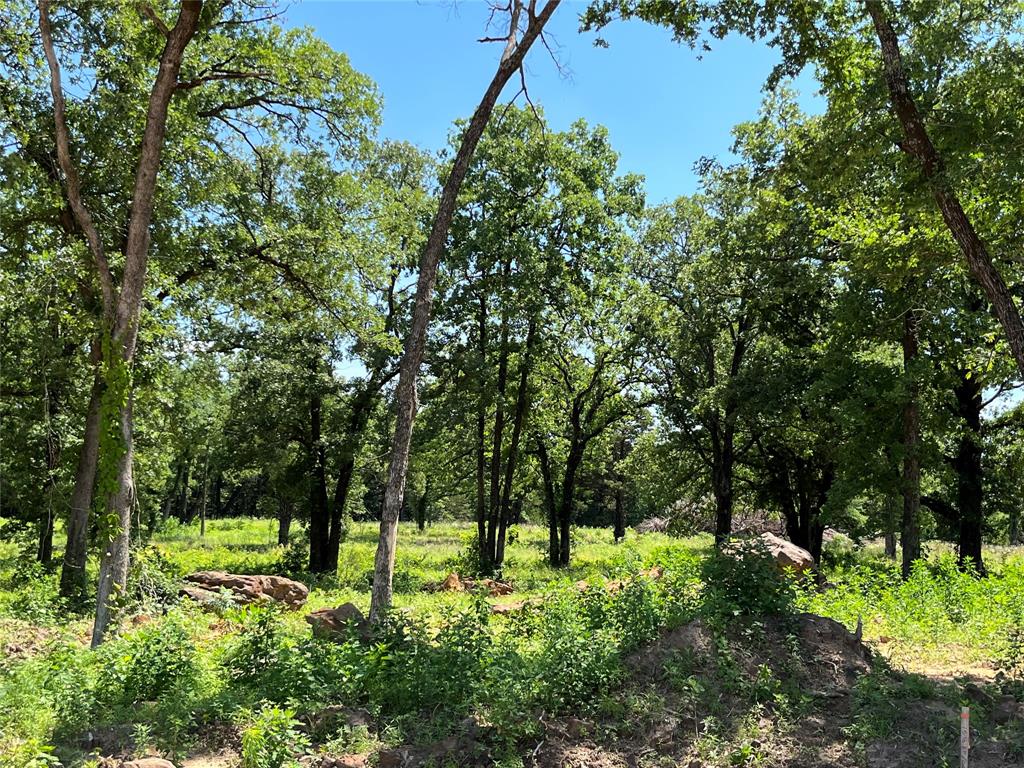 Kiowa Oaks - Land