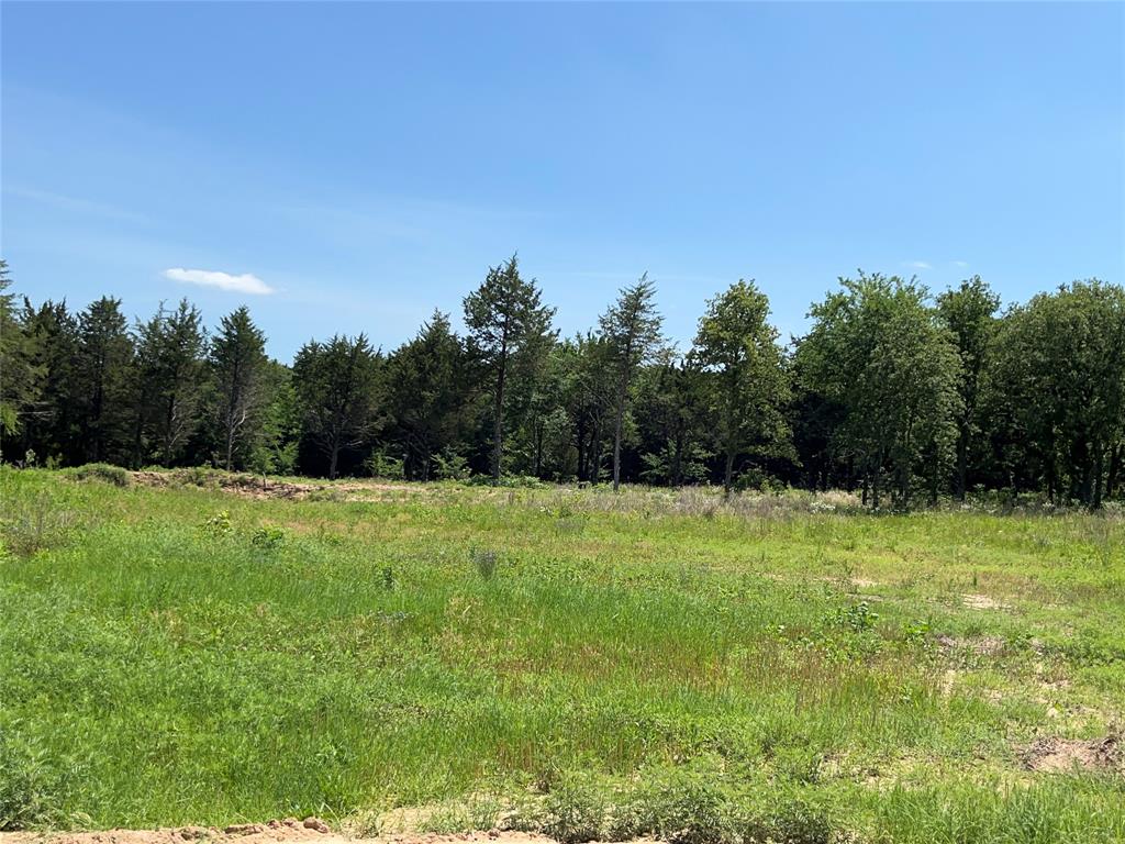 Kiowa Oaks - Land