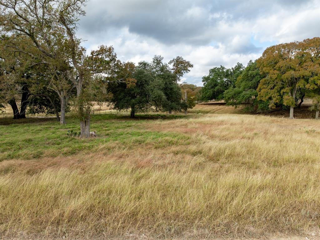 R F Jones - Farm