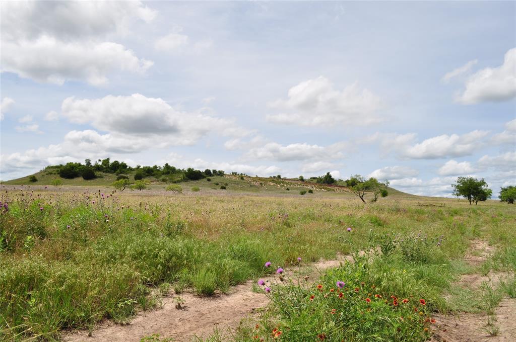 Two Bush - Land