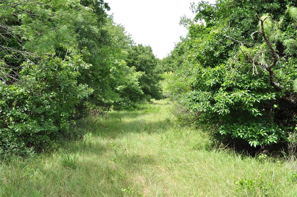 Two Bush - Land