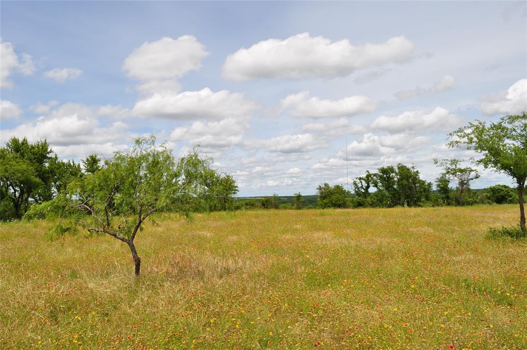 Two Bush - Land