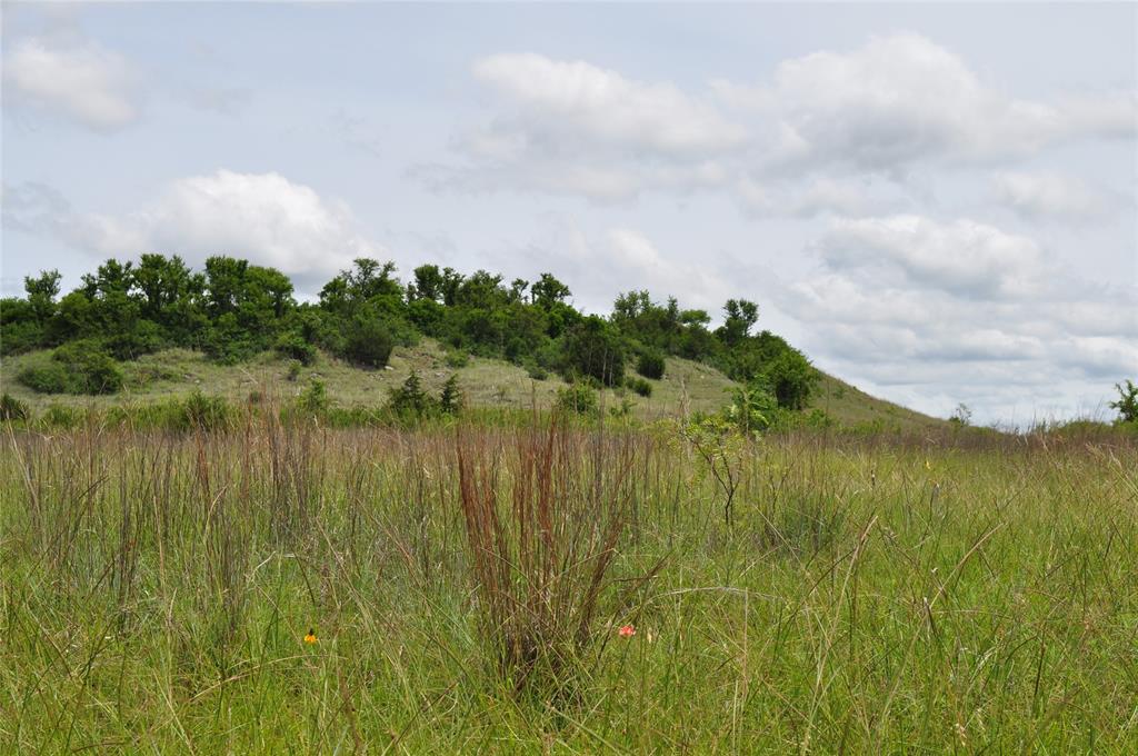 Two Bush - Land