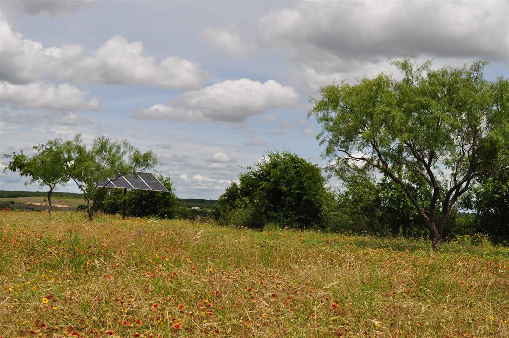 Two Bush - Land