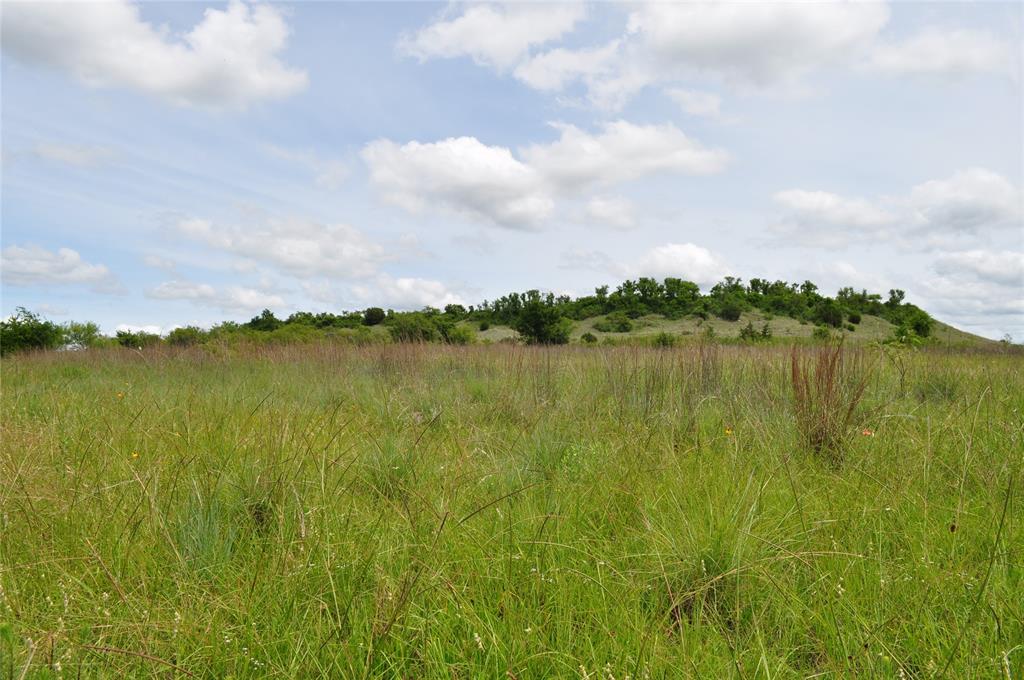 Two Bush - Land