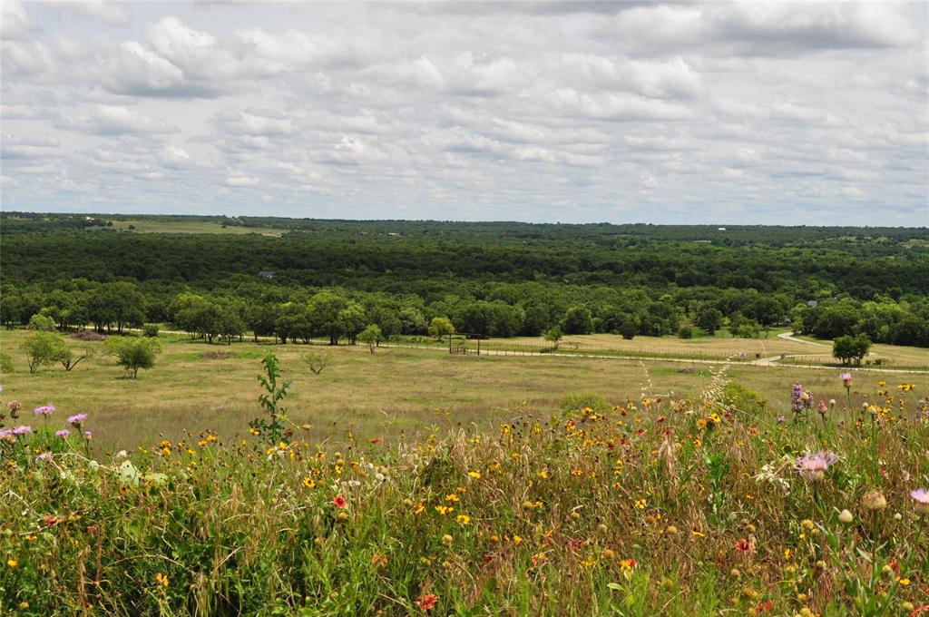 Two Bush - Land