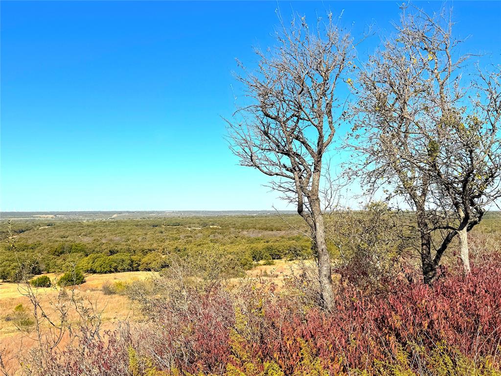 Two Bush - Land