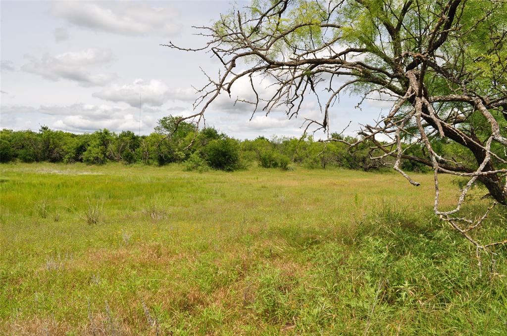 Two Bush - Land