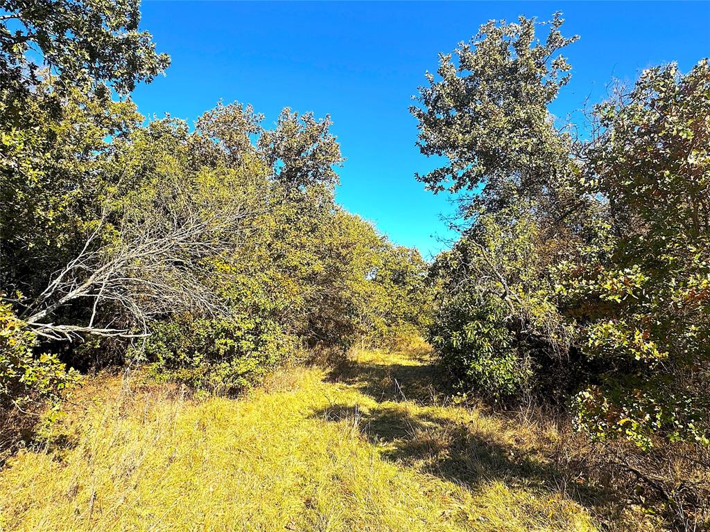 Two Bush - Land