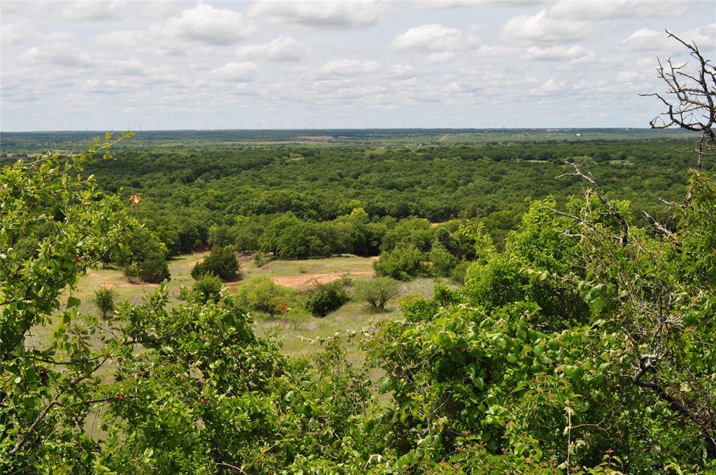 Two Bush - Land