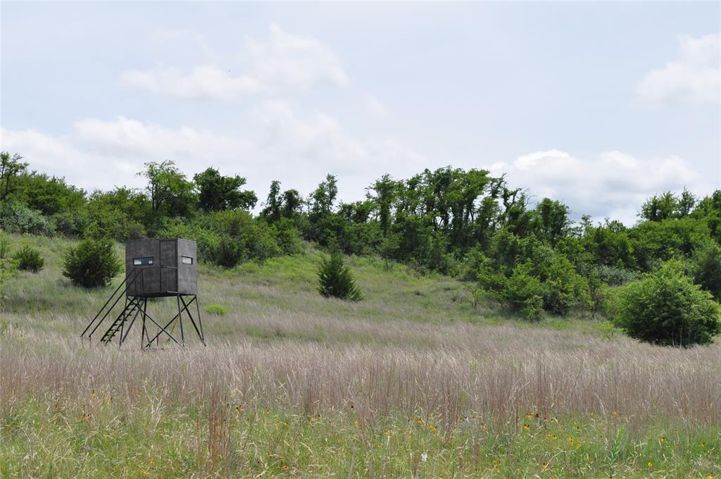 Two Bush - Land