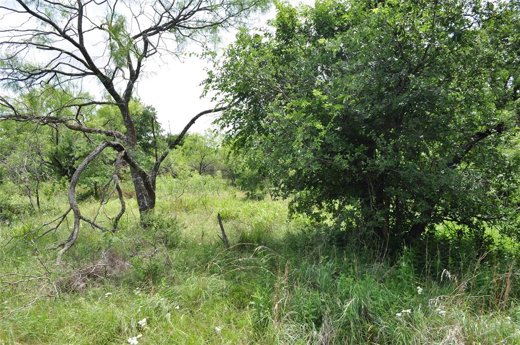 Two Bush - Land