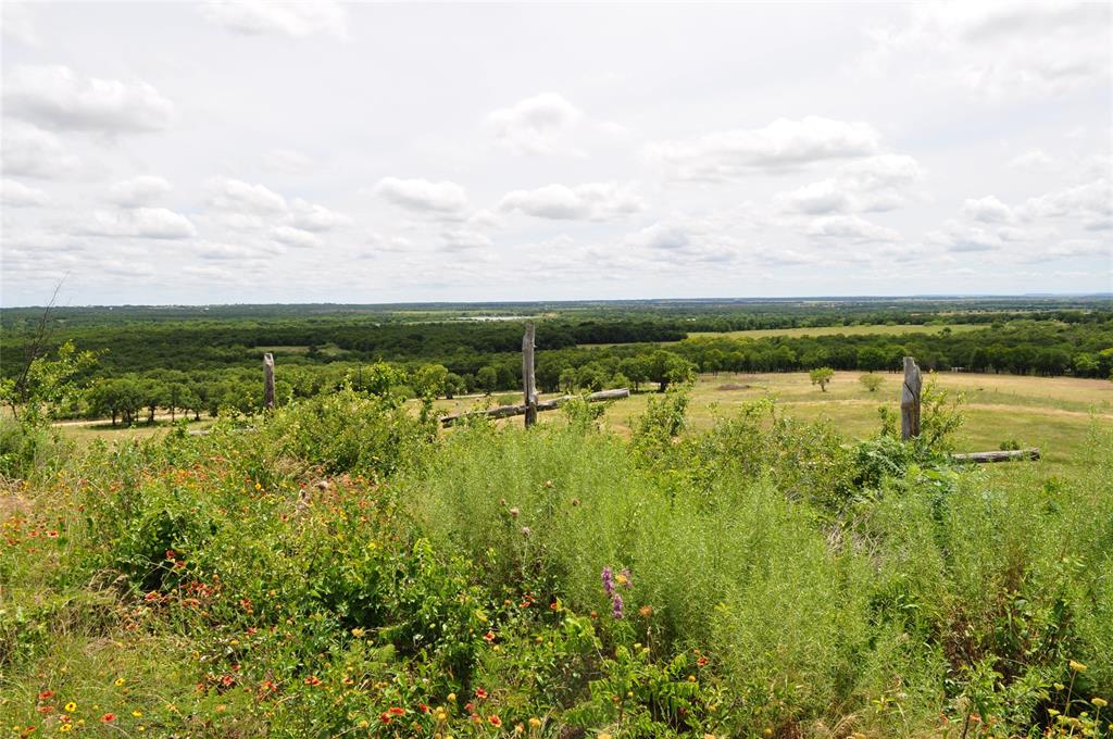 Two Bush - Land