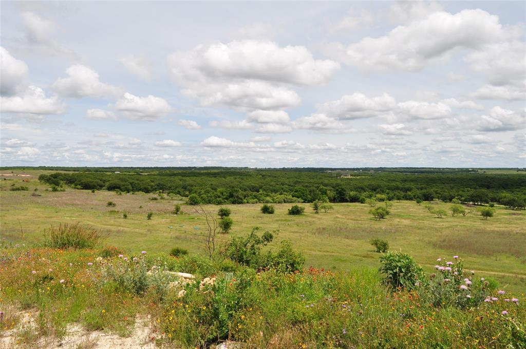 Two Bush - Land