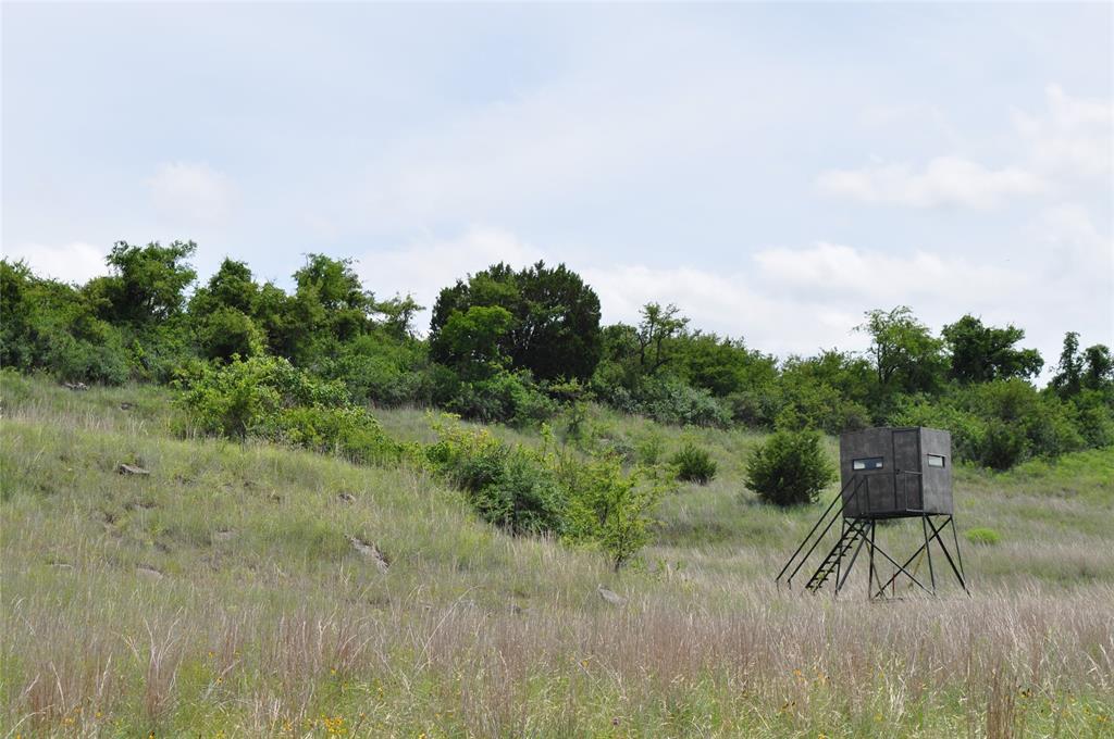 Two Bush - Land