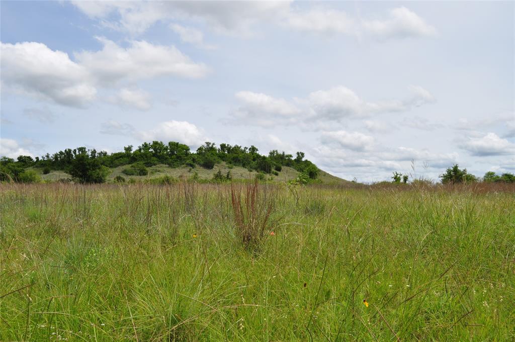 Two Bush - Land