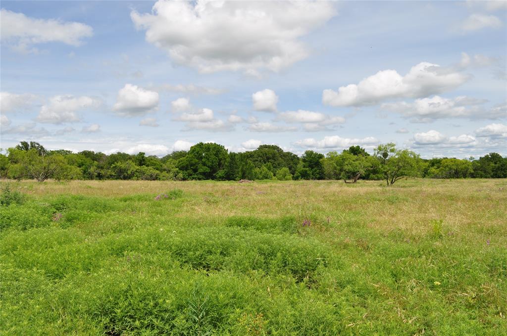 Two Bush - Land