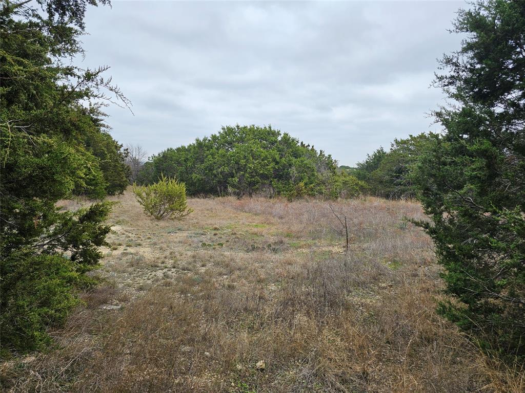 Cedar Ridge Ph II - Land
