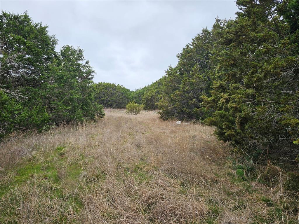Cedar Ridge Ph II - Land