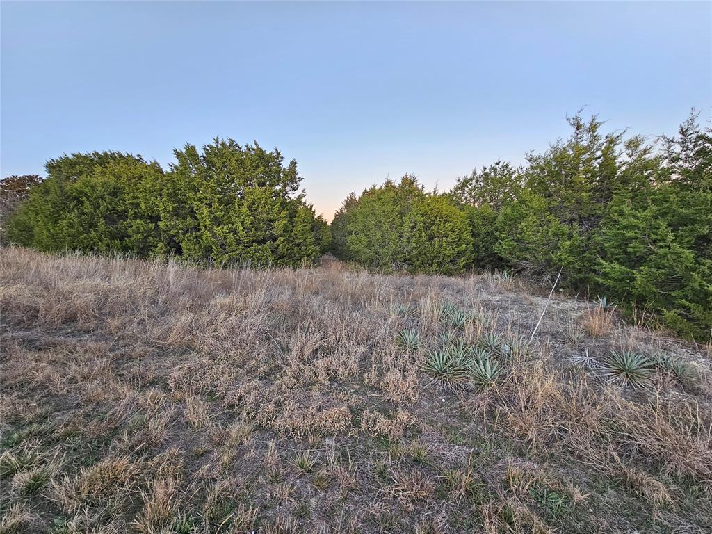 Cedar Ridge Ph II - Land