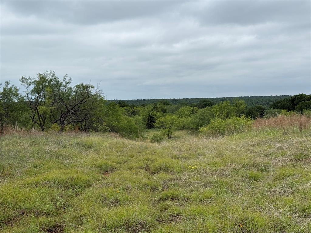 North Star Pointe - Land