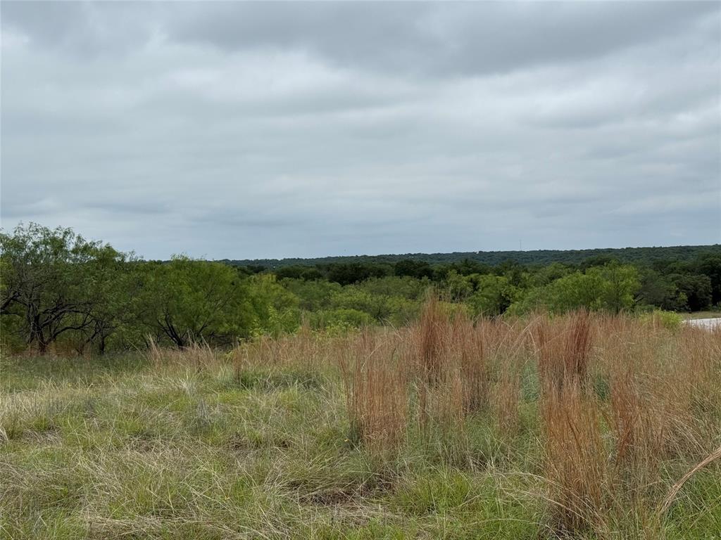 North Star Pointe - Land