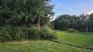 Bring your plans and your builder to this vacant lot in Sky Harbor. The Sky Harbor community is conveniently situated off of Highway 51 and offers a clubhouse, swimming pool, a park, green space, boat ramp and fishing pier.