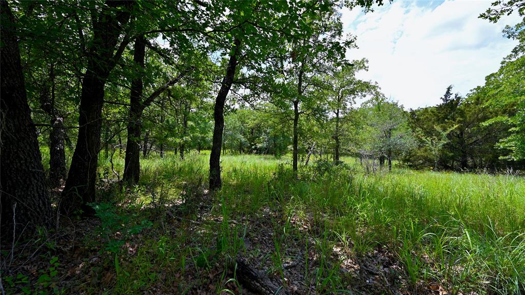 Silver Lakes Ranch - Land