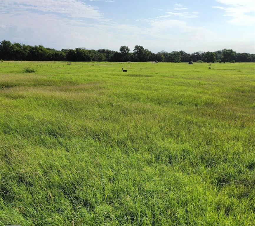 Sa Venters - Land