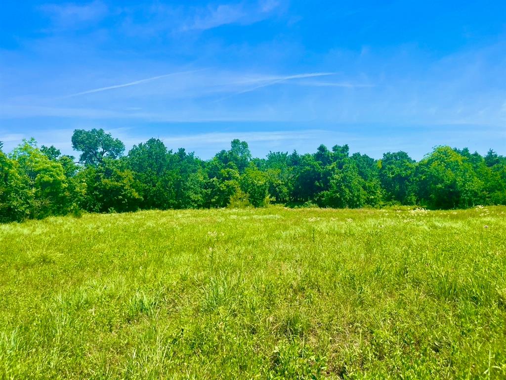 Sarra Ranch Estates - Land