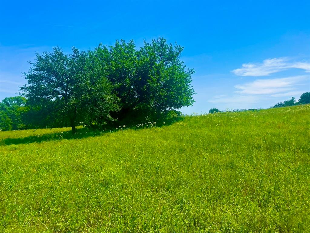 Don’t miss out on this incredible opportunity! Welcome to Sarra Ranch Estates, one of the newest communities offering 2–4 acre tracts. Enjoy stunning countryside views, with rolling terrain and large, mature oak trees that add character to every lot. Conveniently located near the new Ric Williamson Loop, Sarra Ranch provides easy access to the Metroplex. The community features underground electrical lines and high-speed fiber optic internet, perfect for your new home or shop. With sensible community guidelines in place, the beauty and luxury of the area are preserved. Choose from our handpicked builders or bring your own, and build when you’re ready. Contact us today to schedule a private tour! Sarra Ranch Estates, located within the Poolville and Weatherford ISD. Barndominiums are not permitted. PHOTOS DISPLAYED ARE PHOTOS OF THE ENTIRE DEVELOPMENT NOT INDIVIDUAL LOTS