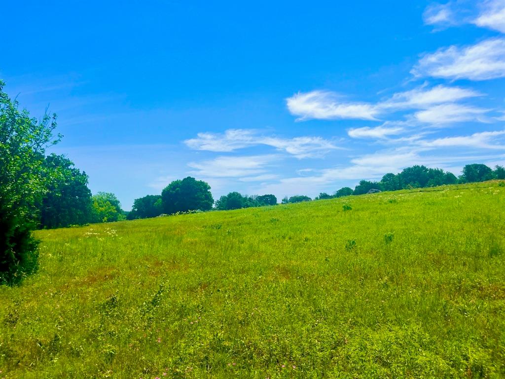 Sarra Ranch Estates - Land