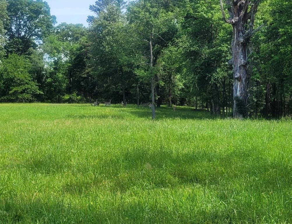 The Peninsulas At Lake Bob San - Land