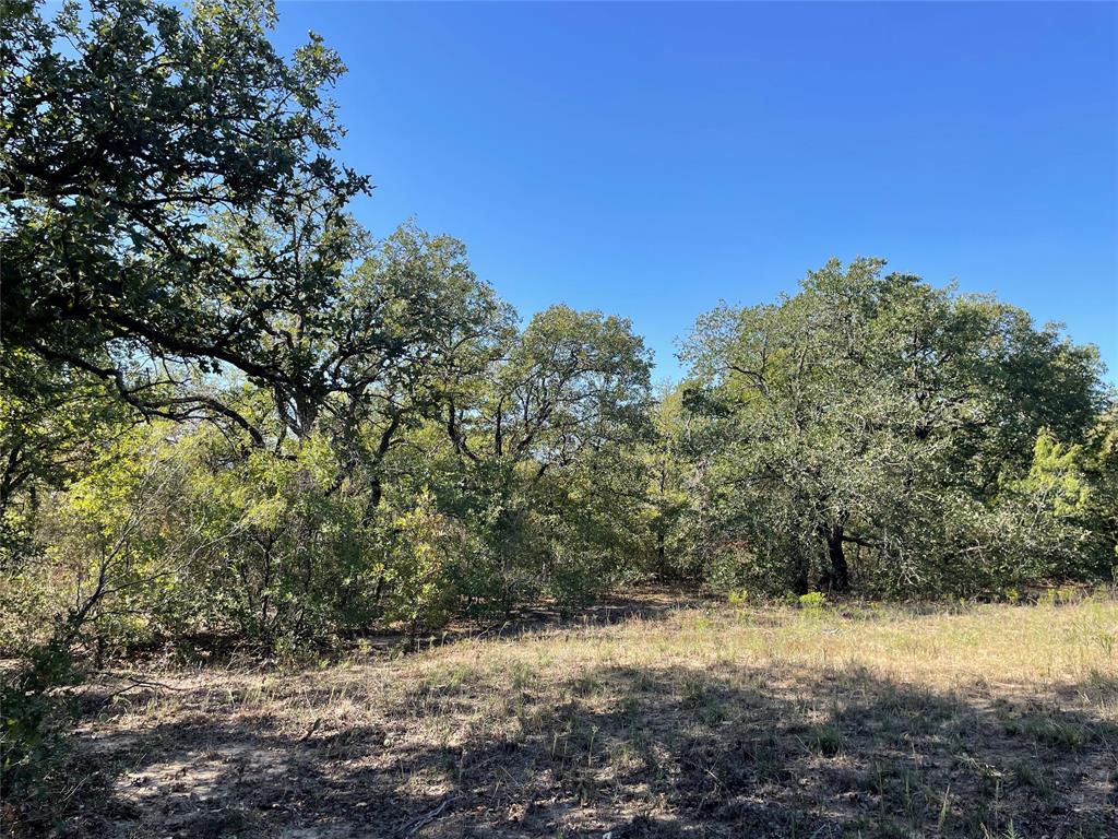 Come get a taste of your own paradise! A great 2+ acre lot in Paradise, Tx. A beautiful piece of property in Mesquite Ridge Estates. Come out and build your dream home and enjoy some country living at its finest!